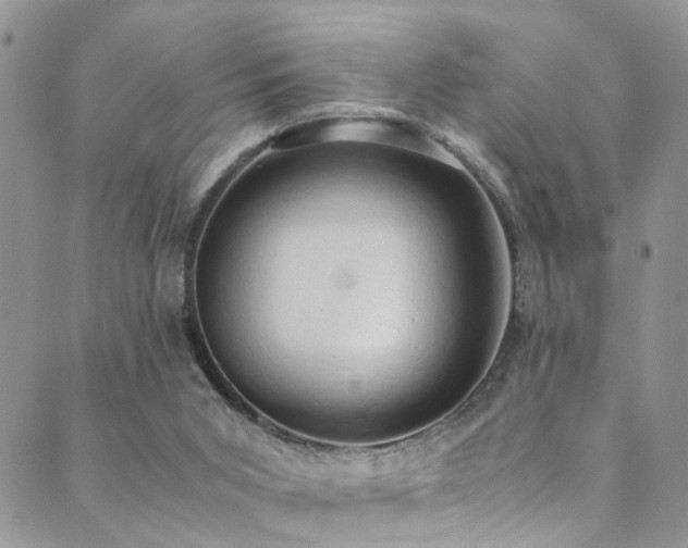 X0000089690015200706211302