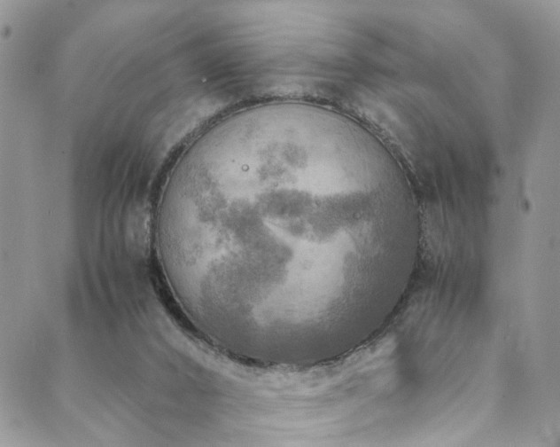 X0000089690016200706211302