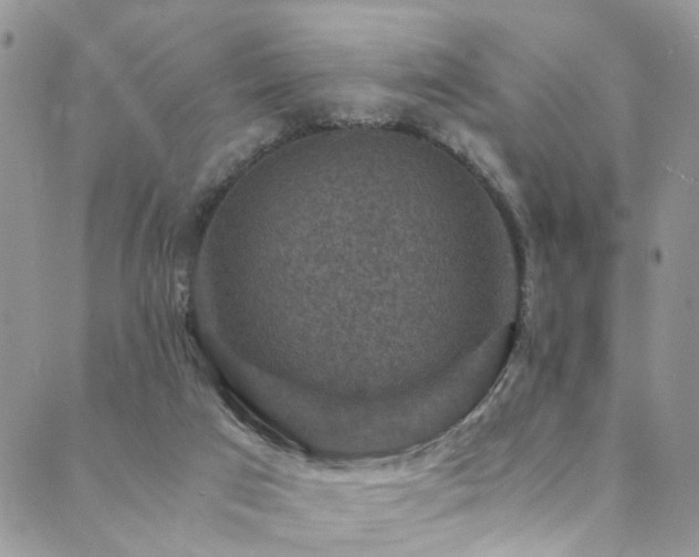 X0000089690017200706211302