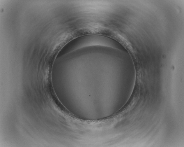 X0000089690018200706211302