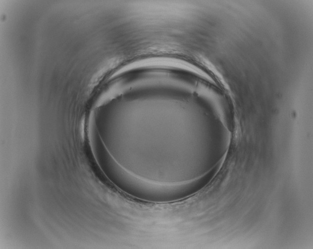 X0000089690019200706211302