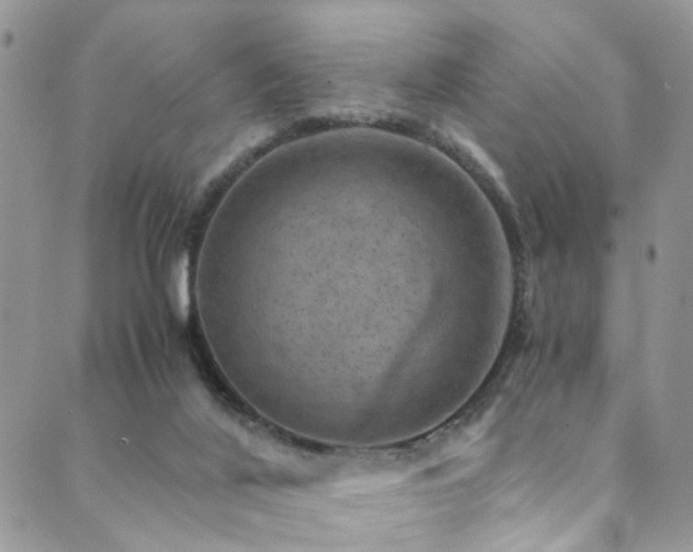 X0000089690020200706211302