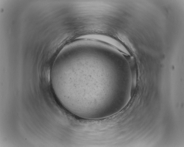 X0000089690021200706211302