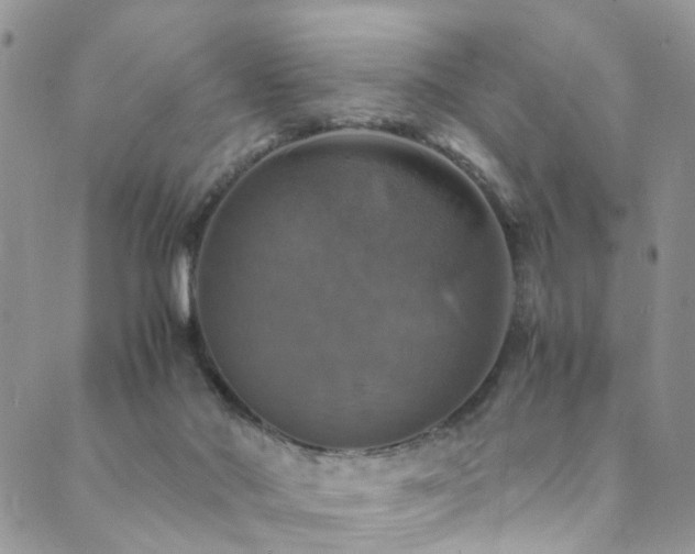 X0000089690022200706211302