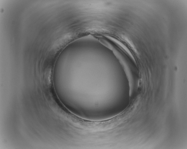 X0000089690023200706211302