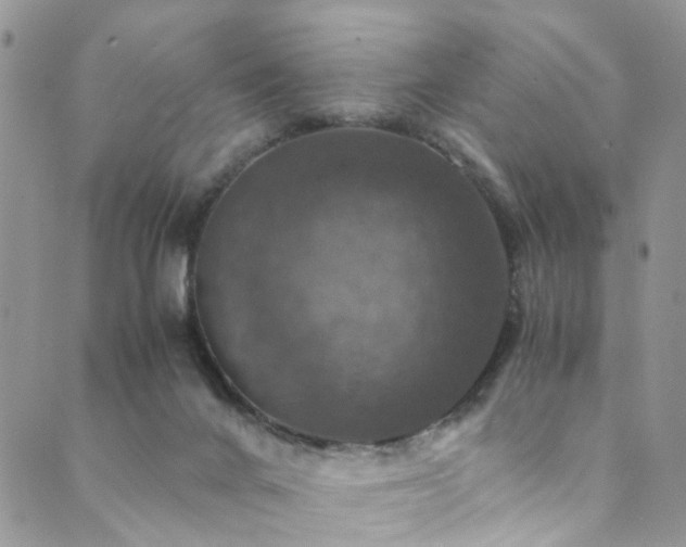 X0000089690024200706211302