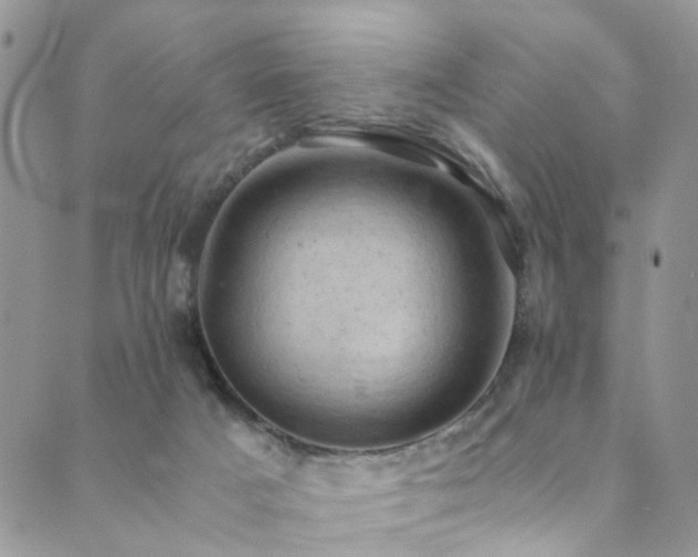 X0000089690025200706211302