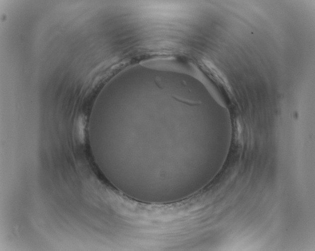 X0000089690026200706211302