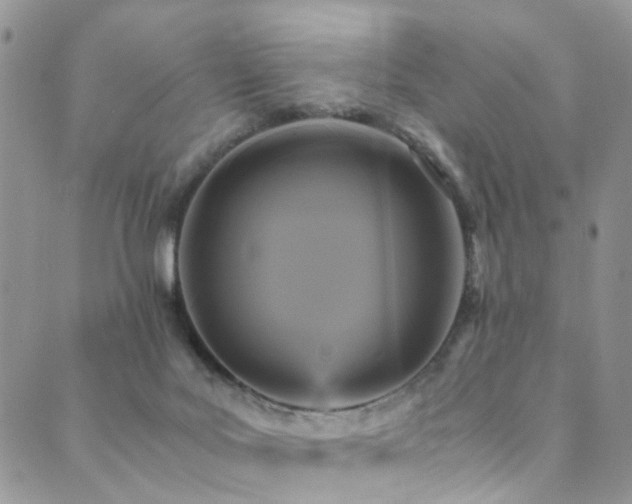 X0000089690027200706211302