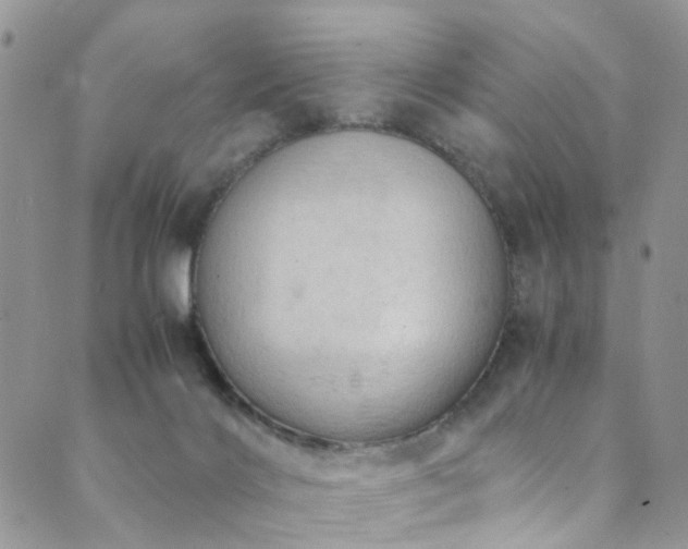 X0000089690028200706211302