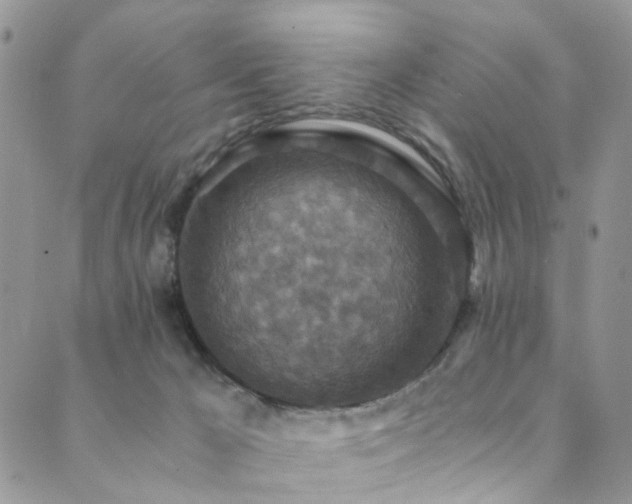 X0000089690029200706211302