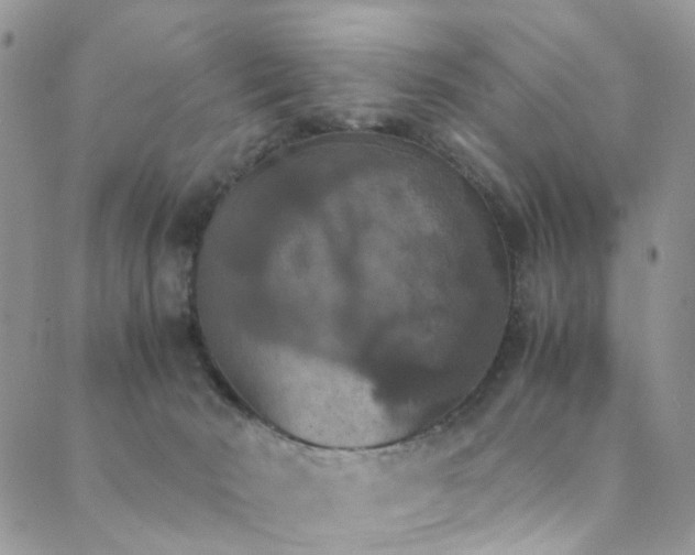 X0000089690030200706211302