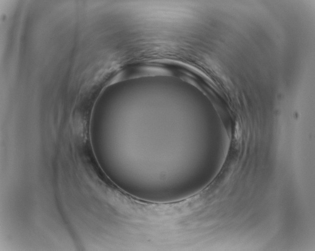 X0000089690031200706211301