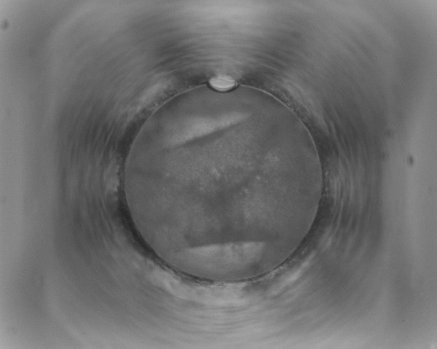 X0000089690032200706211301