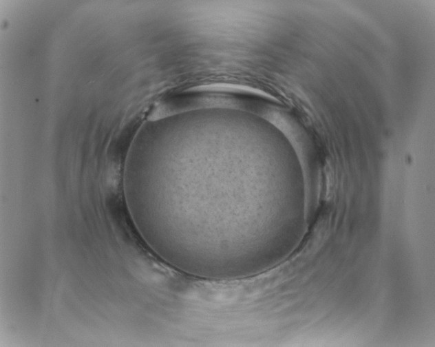 X0000089690033200706211301