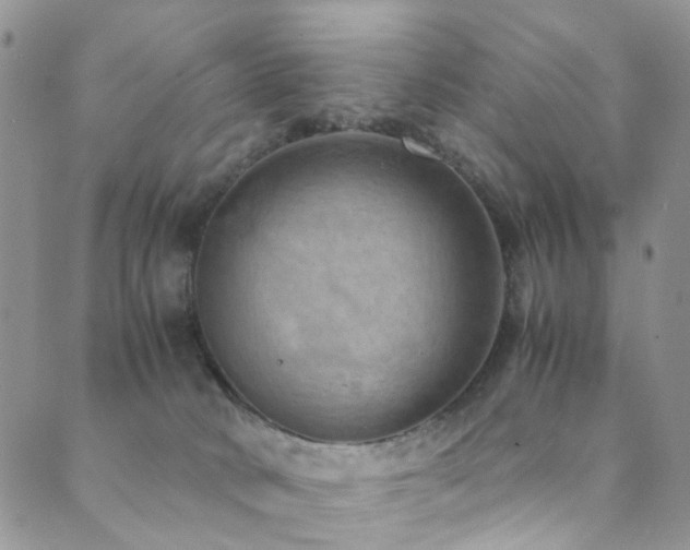 X0000089690034200706211301