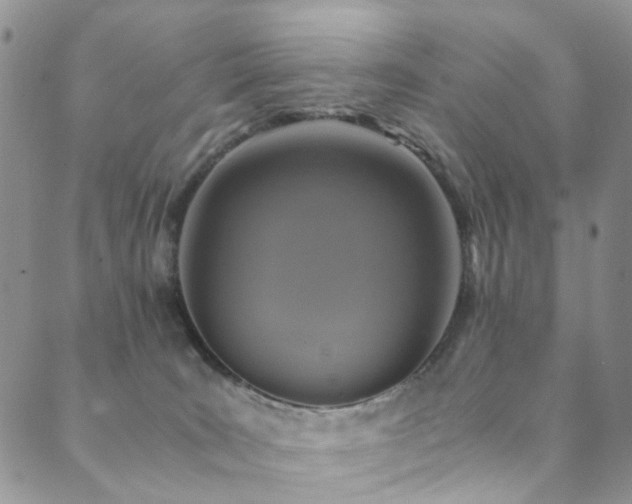 X0000089690035200706211301