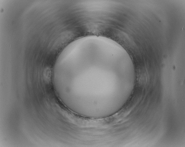 X0000089690036200706211301