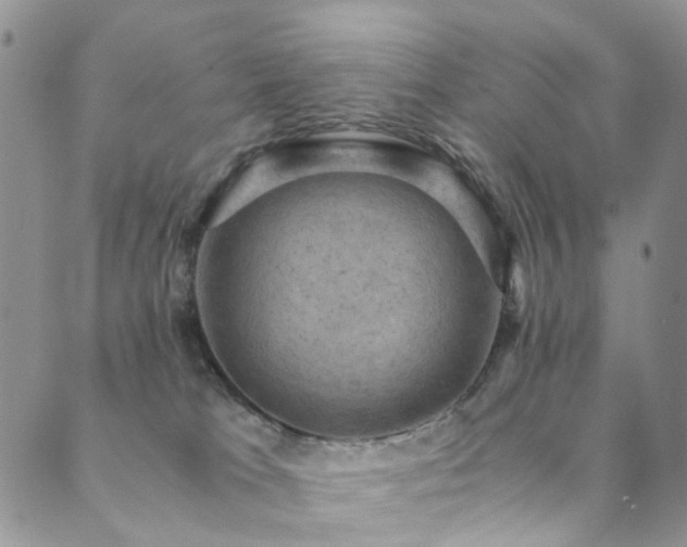 X0000089690037200706211301