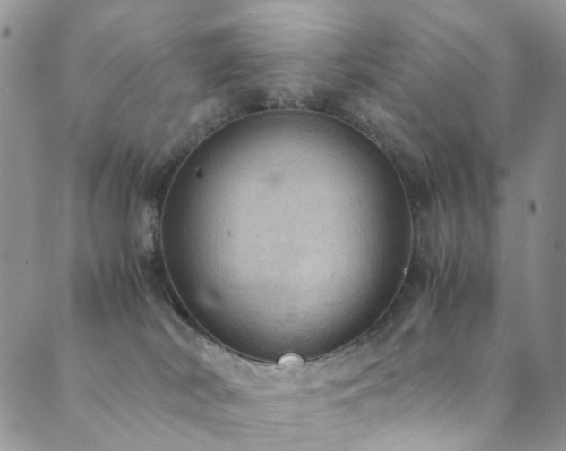 X0000089690038200706211301