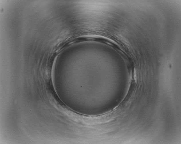 X0000089690039200706211301