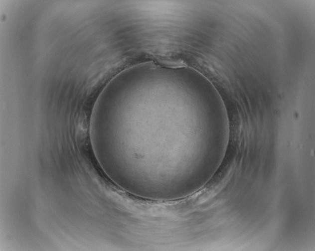 X0000089690040200706211301