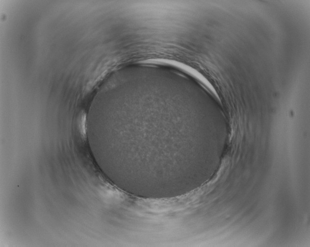 X0000089690041200706211301