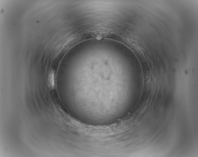 X0000089690042200706211301