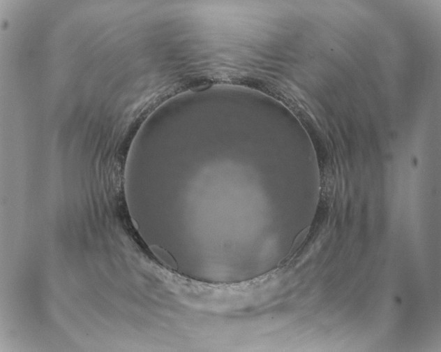 X0000089690043200706211301