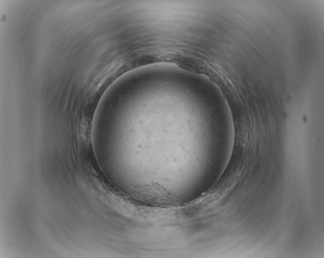 X0000089690044200706211301