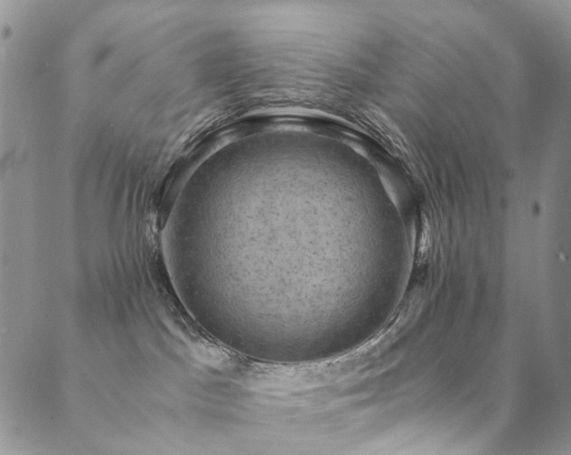 X0000089690045200706211301