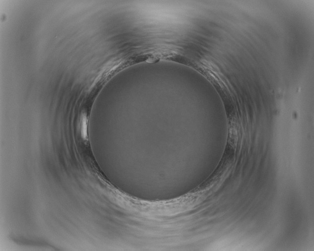 X0000089690046200706211301