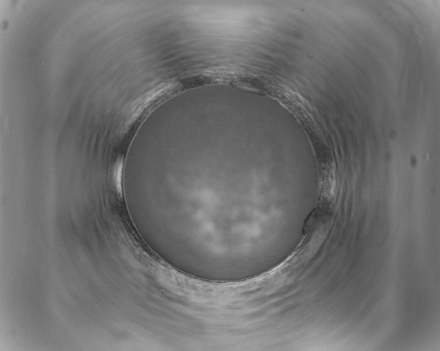 X0000089690047200706211301