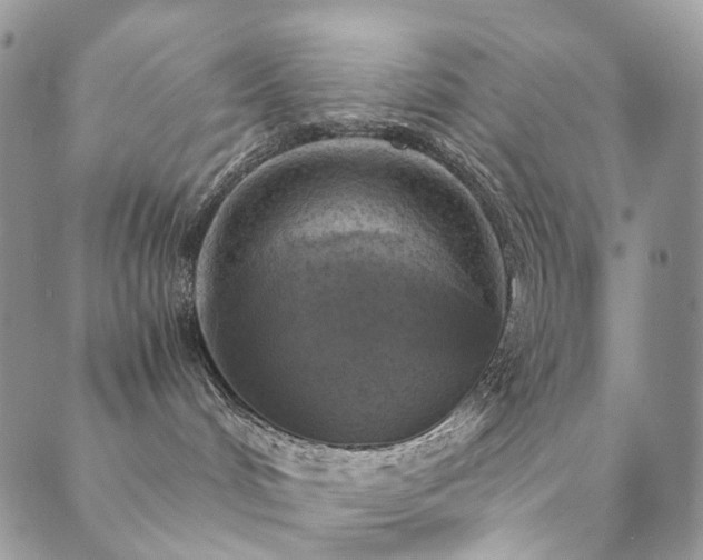 X0000089690048200706211301