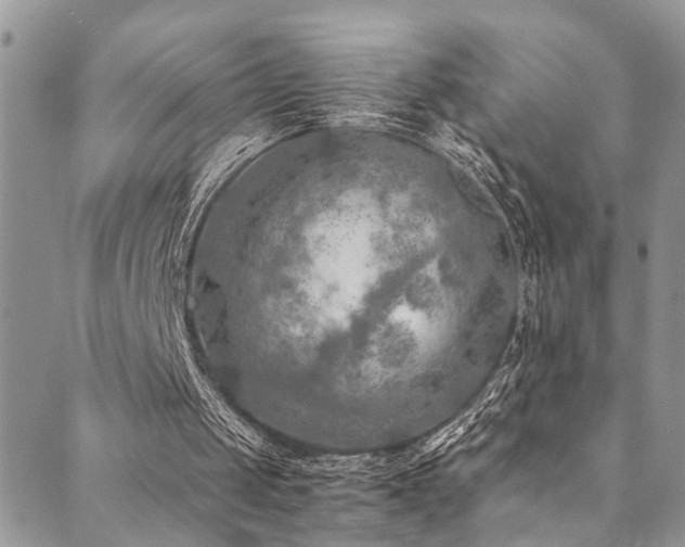 X0000089690049200706211300