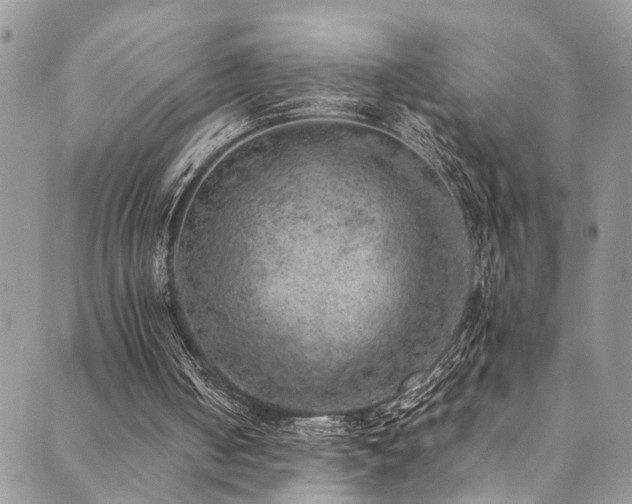 X0000089690050200706211300