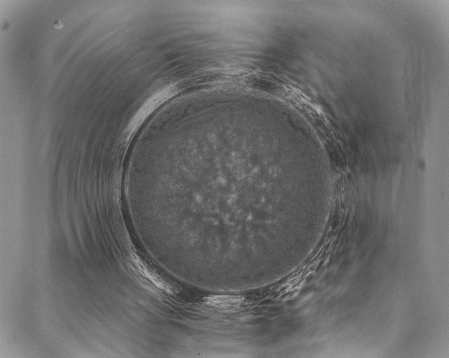 X0000089690051200706211300