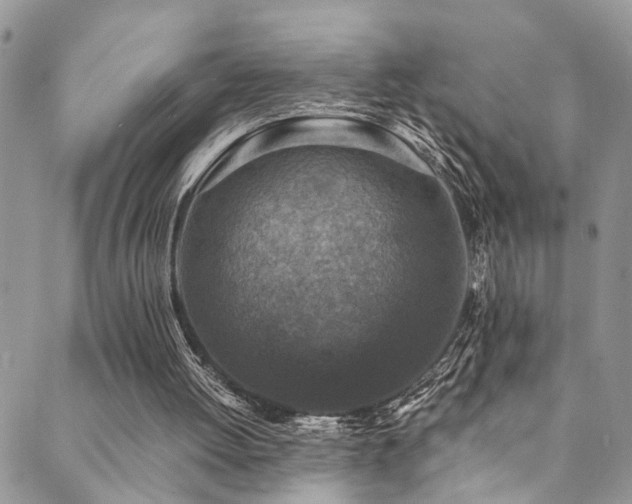 X0000089690052200706211300