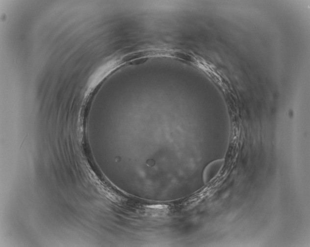 X0000089690053200706211300