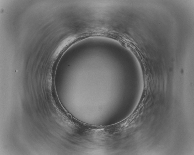 X0000089690054200706211301