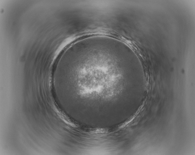 X0000089690056200706211301