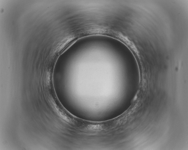 X0000089690057200706211301