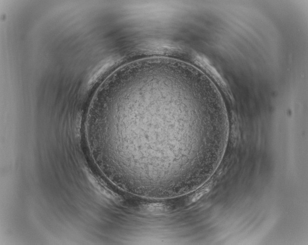 X0000089690058200706211301