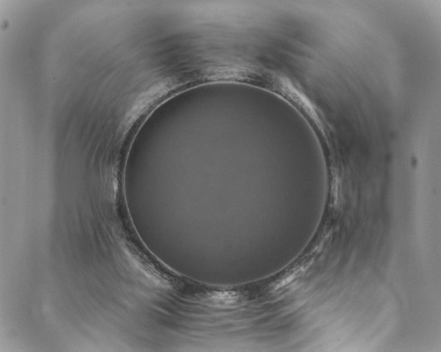 X0000089690059200706211301