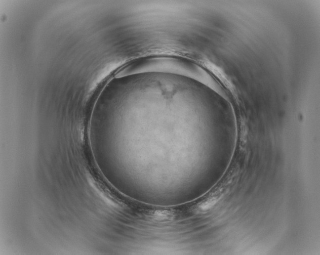 X0000089690060200706211301