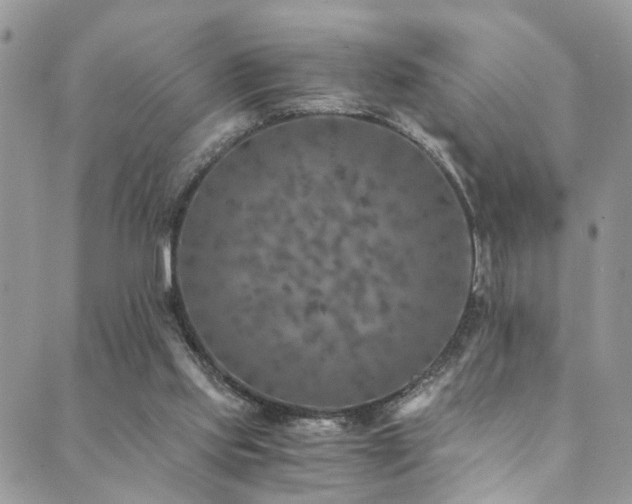 X0000089690061200706211301