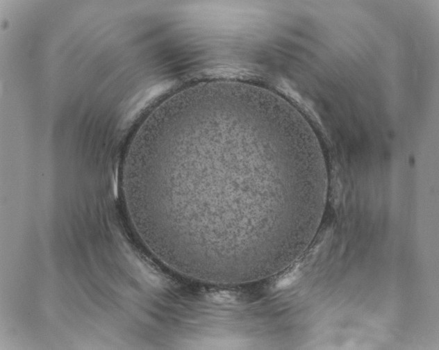 X0000089690062200706211301