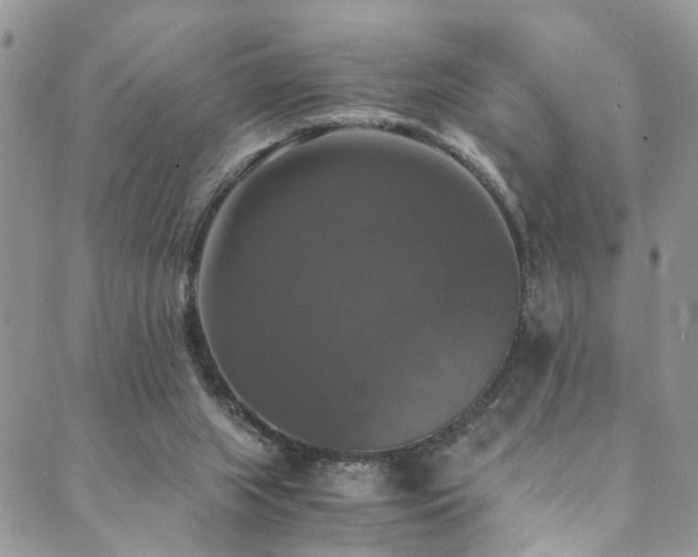 X0000089690063200706211301