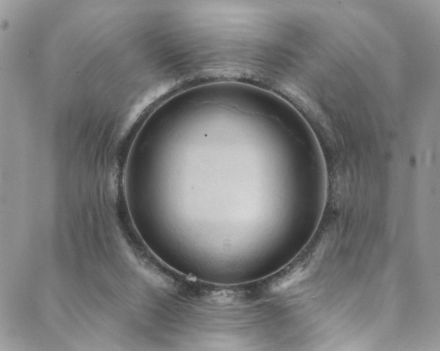 X0000089690064200706211301