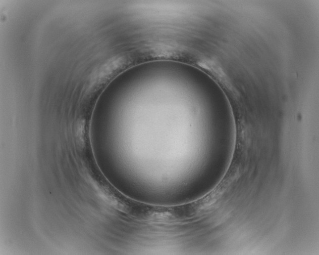 X0000089690066200706211301